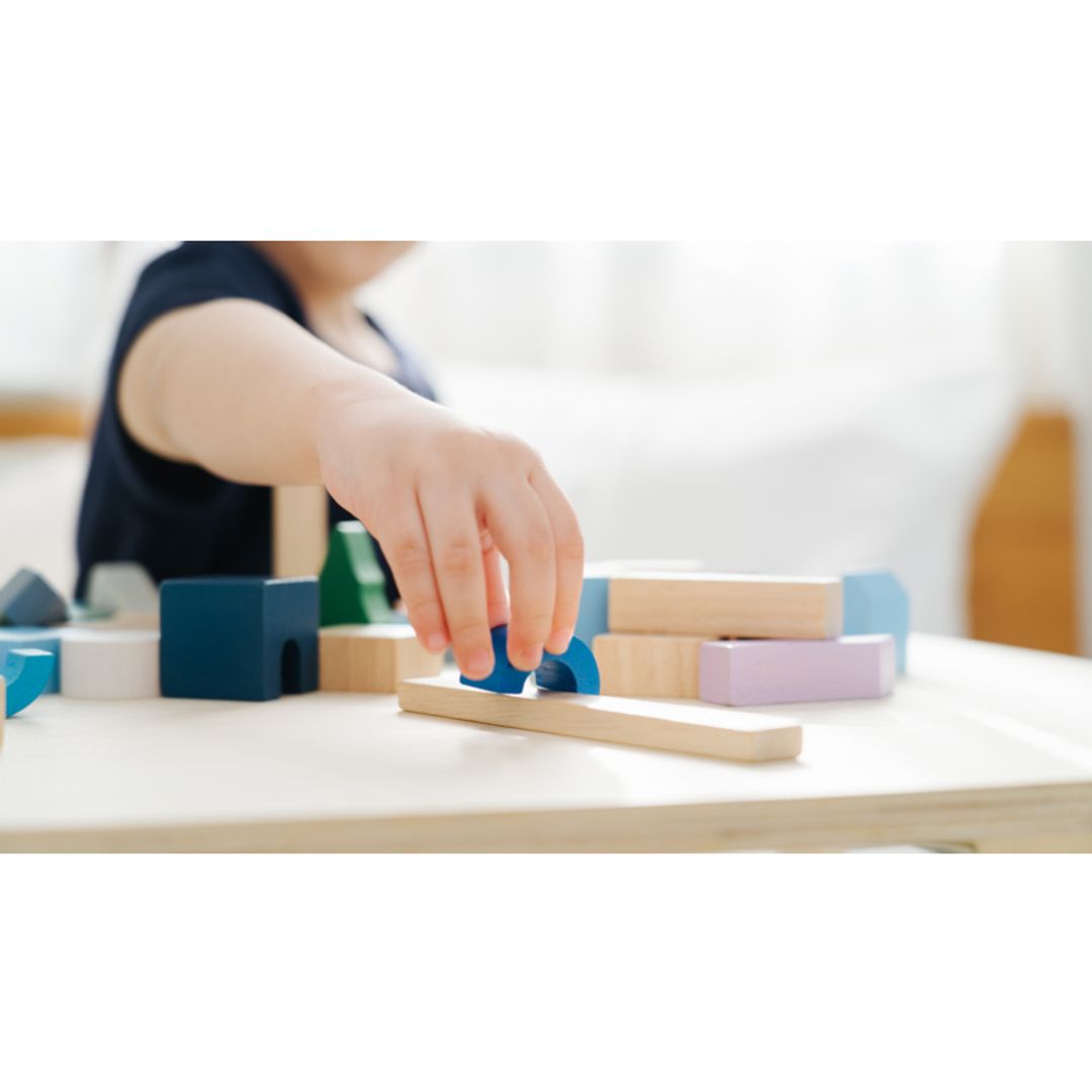 Plan Toys Urban City Blocks
