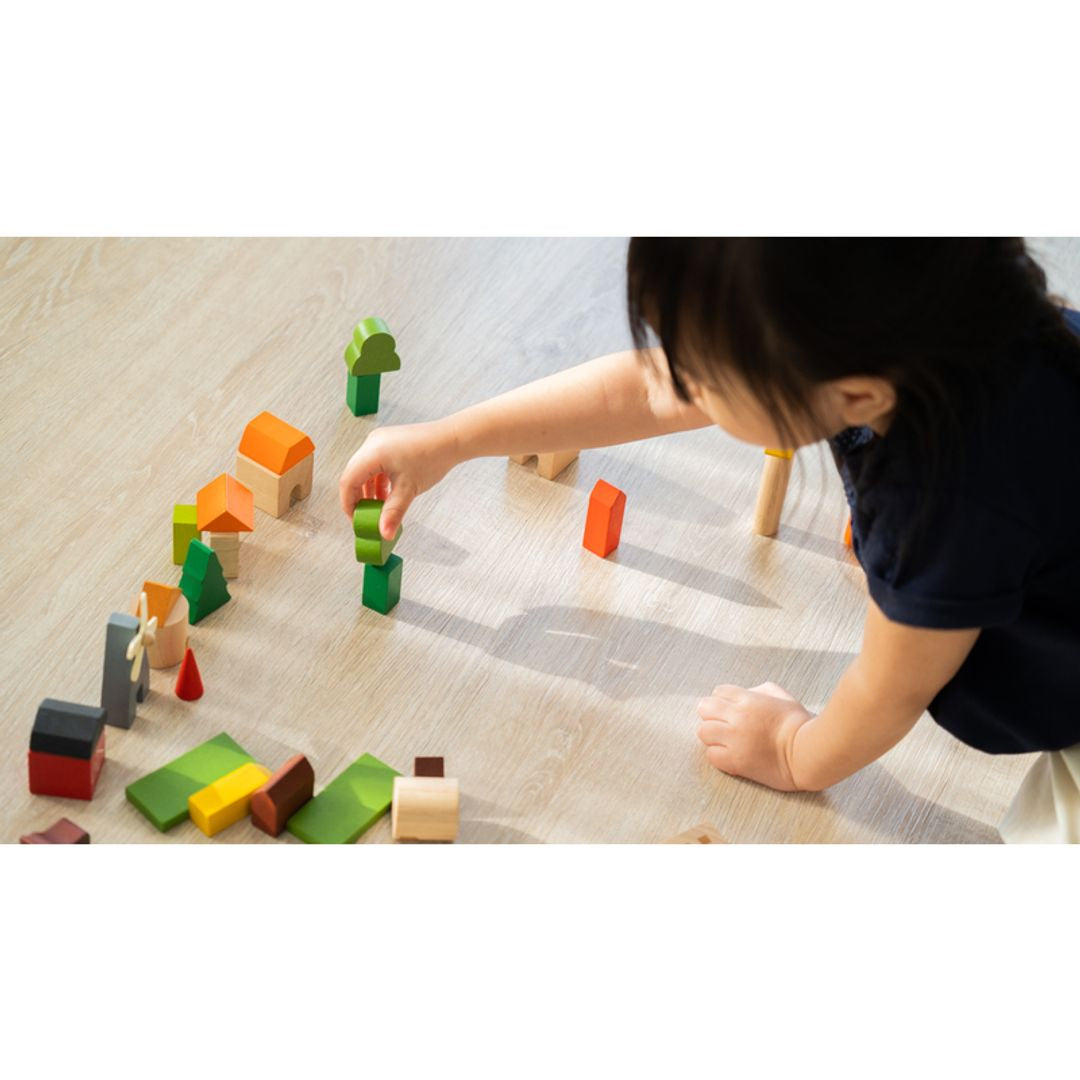 Plan Toys Countryside Blocks