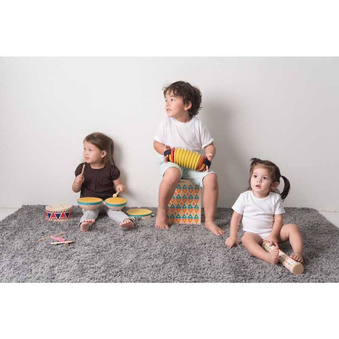 Plan Toys Concertina