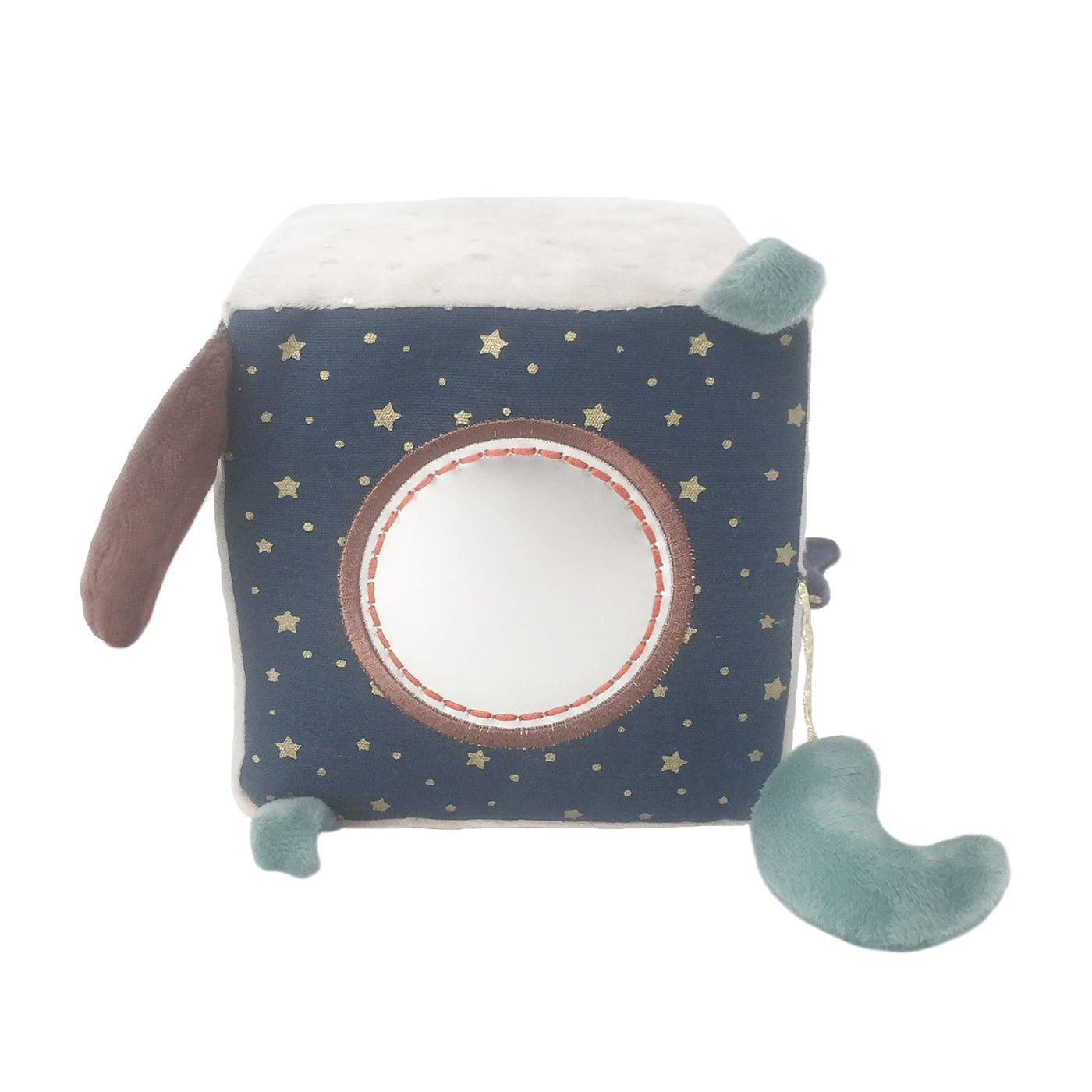 Astro Dog Activity Cube