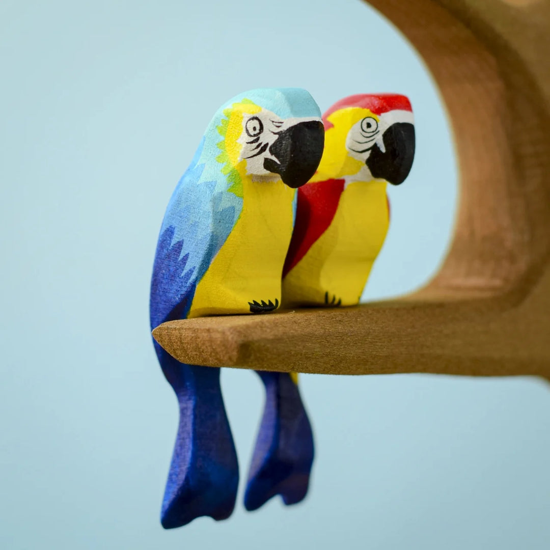 Bumbu Blue Macaw Parrot