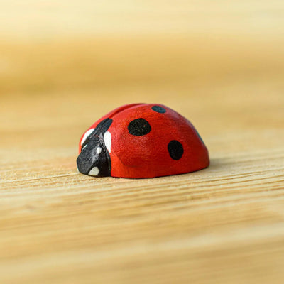 Pre-Order Bumbu Ladybug (Ships in late June)