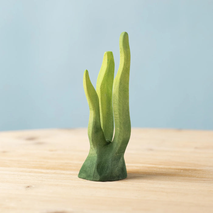 Bumbu Large Seaweed