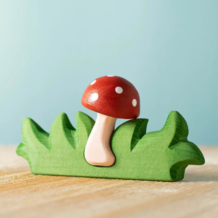 Bumbu Mushroom in Grass