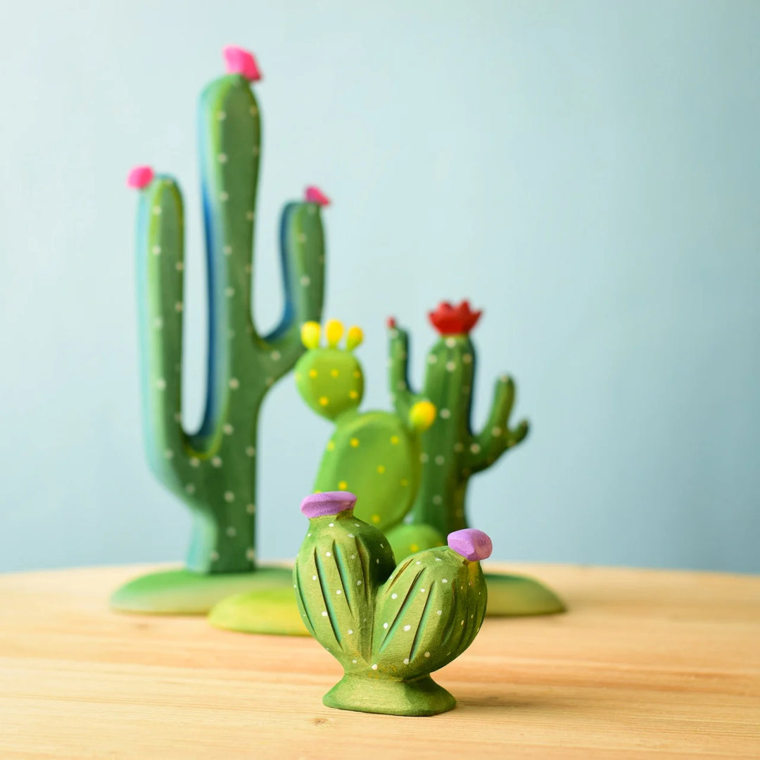 Bumbu Pin Cushion Cactus