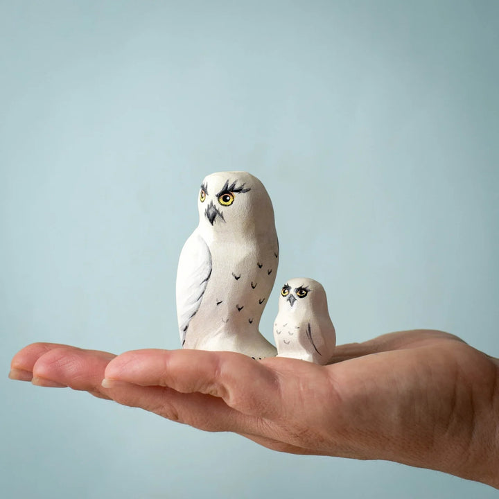 Bumbu Snowy Owl Set