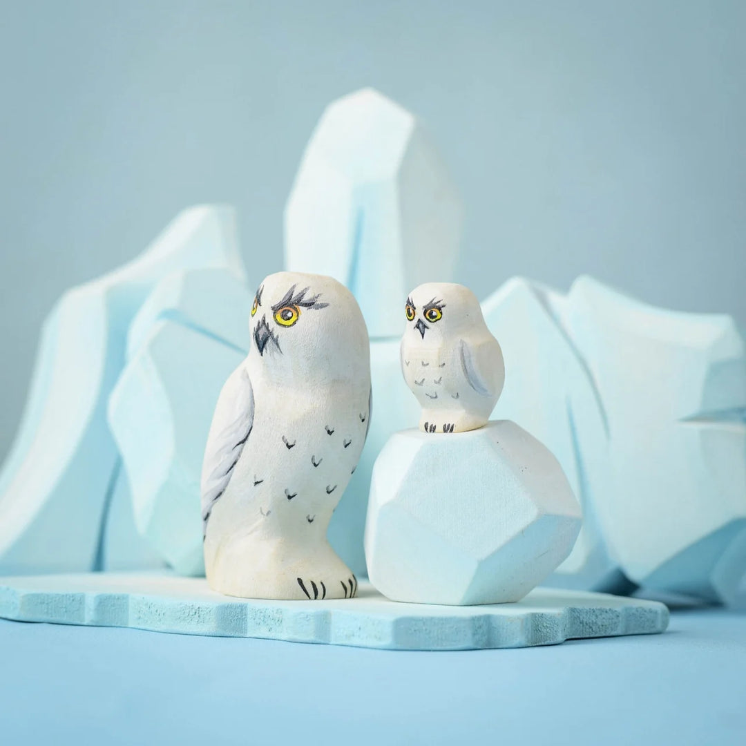 Bumbu Snowy Owl Set