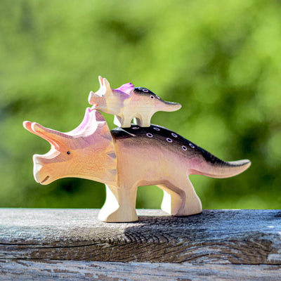 Bumbu Triceratops Set