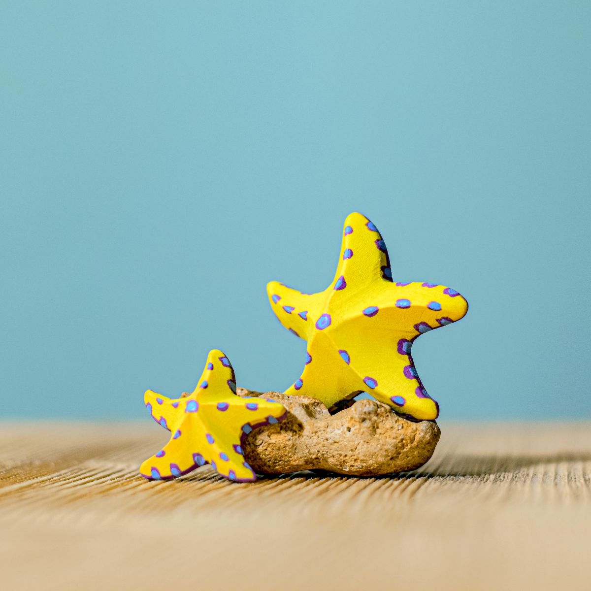 Sale Bumbu Yellow Starfish, Set of 2