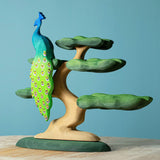 Bumbu Bonsai Tree · view 5