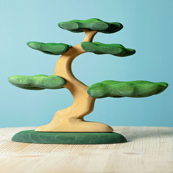Bumbu Bonsai Tree