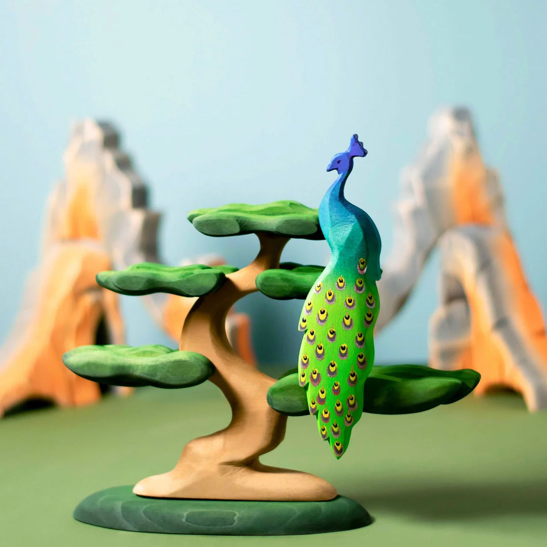 Bumbu Bonsai Tree
