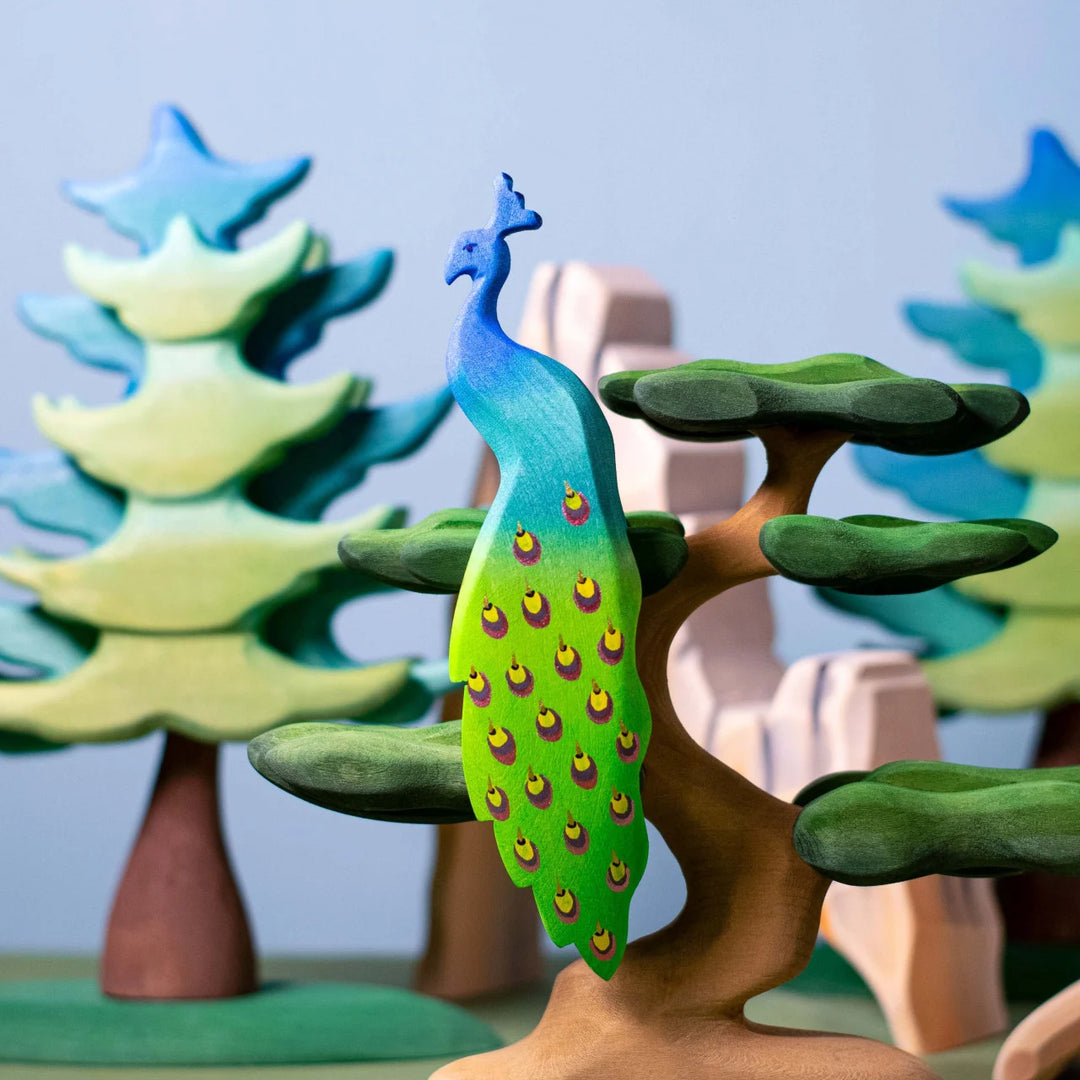 Bumbu Bonsai Tree