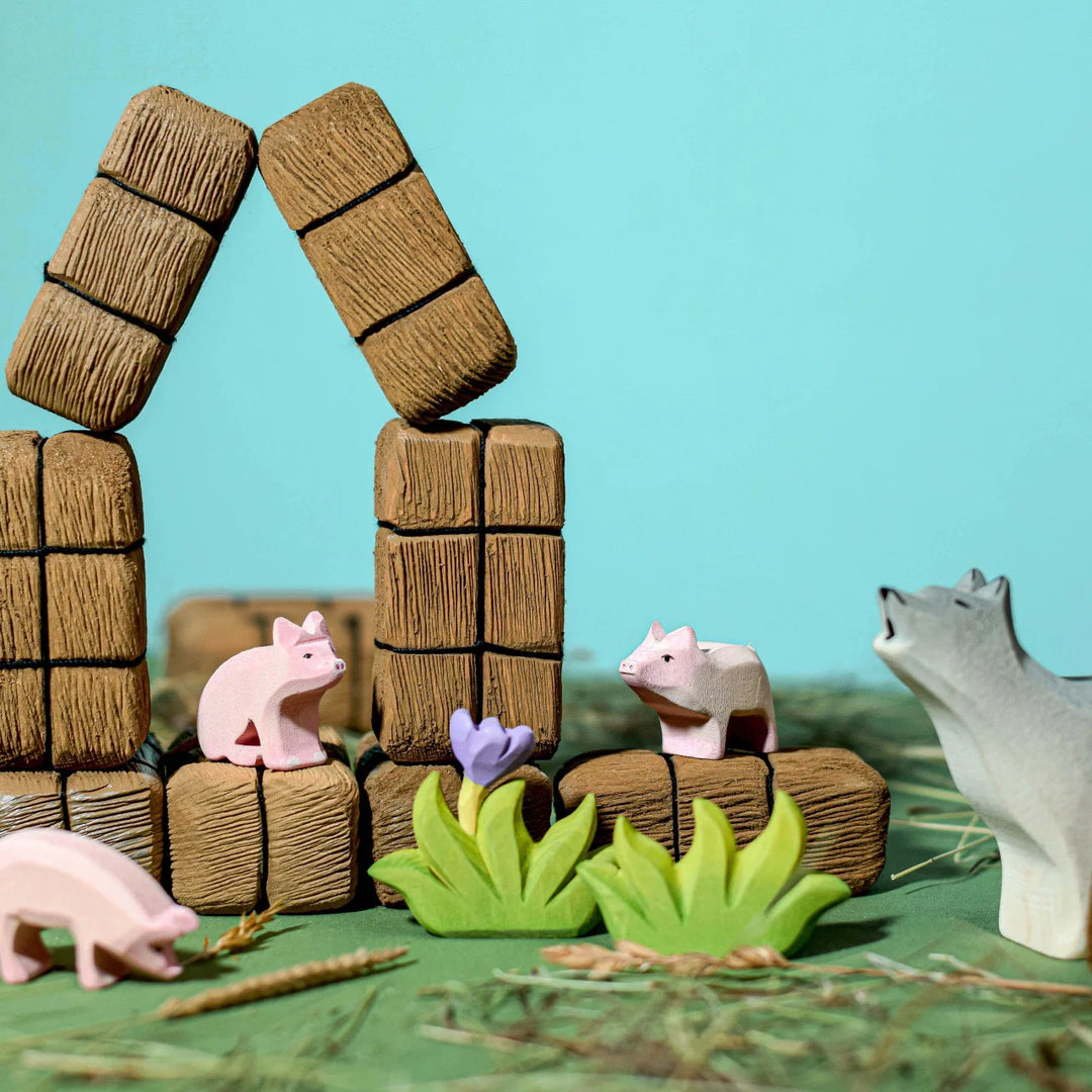Bumbu Pig Family
