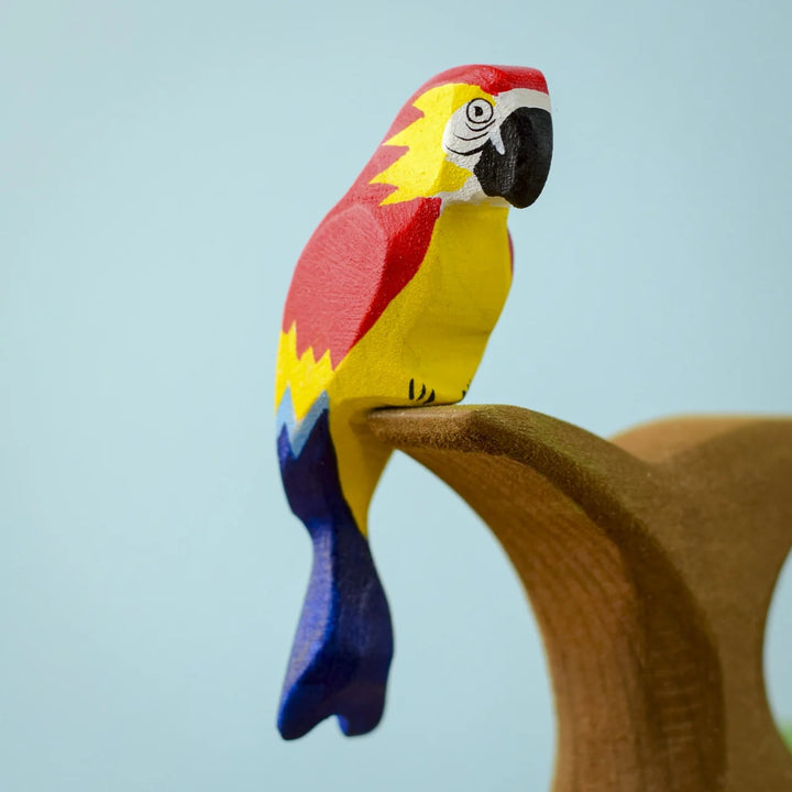 Bumbu Red Amazonian Parrot