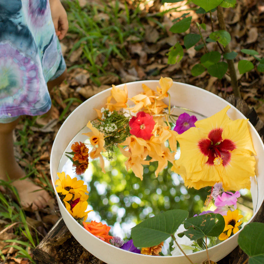 Busy Bee Tray Reflective Mirror Insert (Accessory Only)