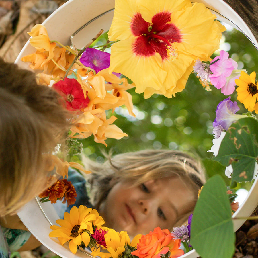Busy Bee Tray Reflective Mirror Insert (Accessory Only)