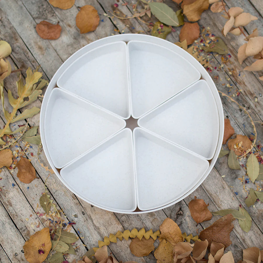 Busy Bee Tray, 6 Sixth Inserts, and Lid Set