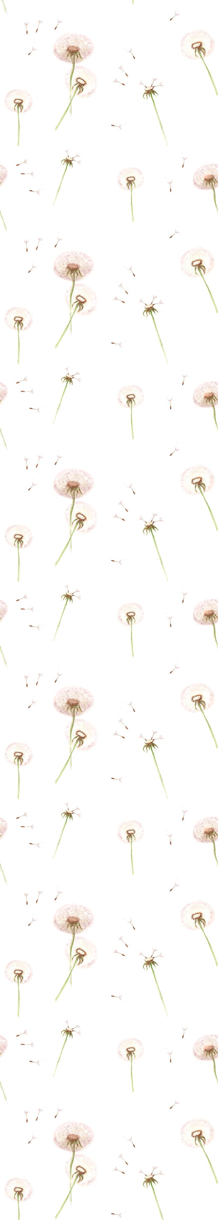 Dandelions Wallpaper