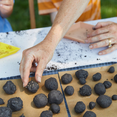 Modern Sprout Seed Ball Kits