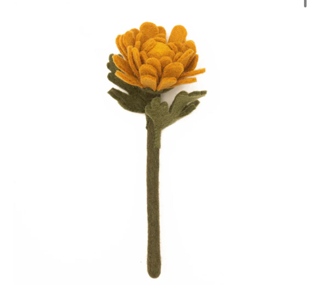 Felt Chrysanthemum, Goldenrod