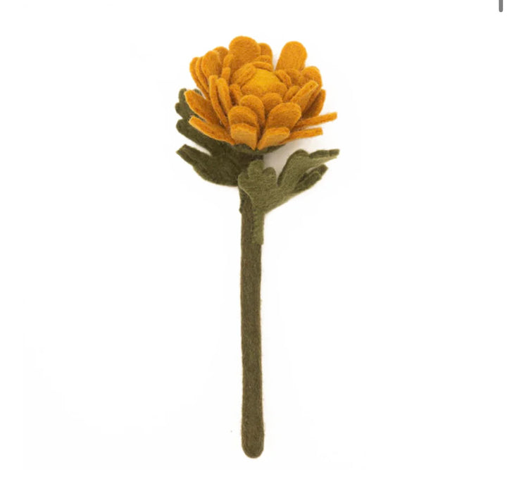 Felt Chrysanthemum, Goldenrod