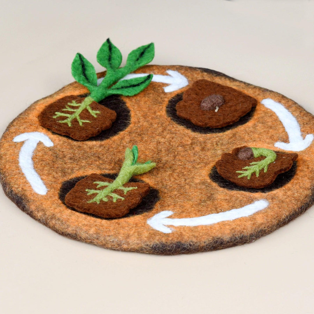 Felt Lifecycle of a Bean Plant