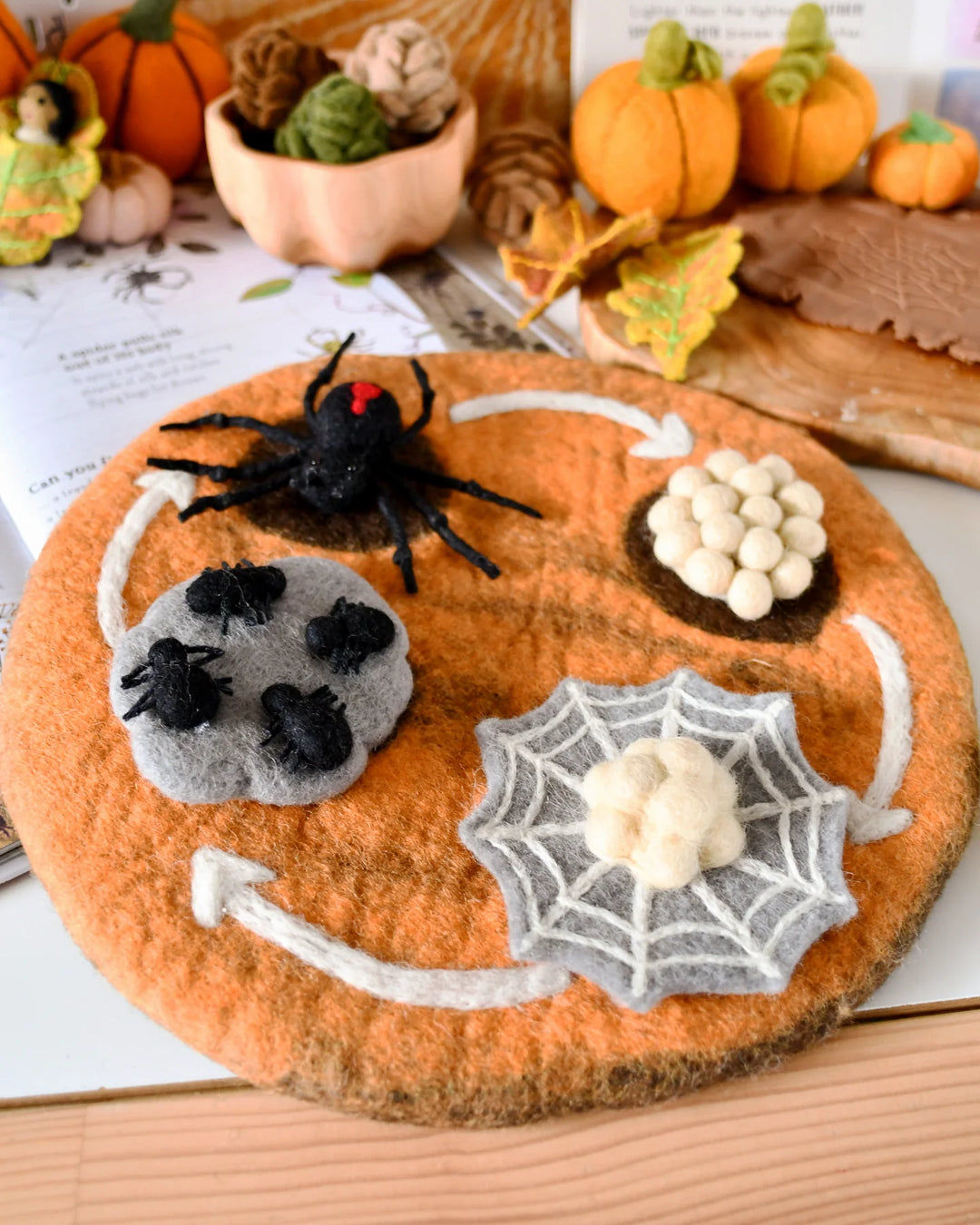 Sale Felt Lifecycle of a Redback Spider