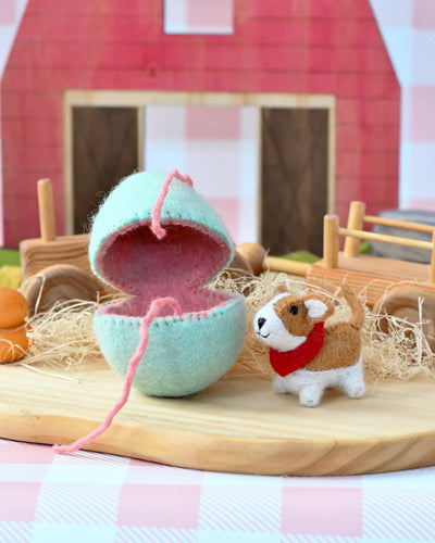 Pre-Order Felt Surprise Egg with Corgi Puppy Inside (Ships in late February)