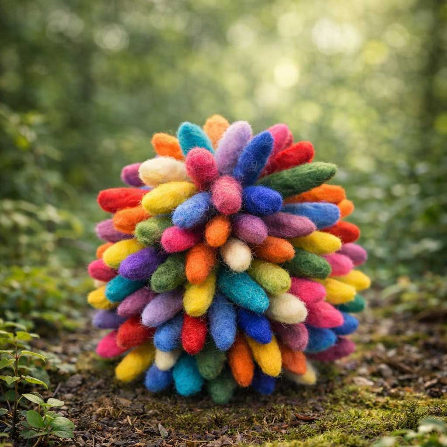 Colorful Rainbow Hedgehog