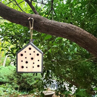 Huckleberry Little Bee Home