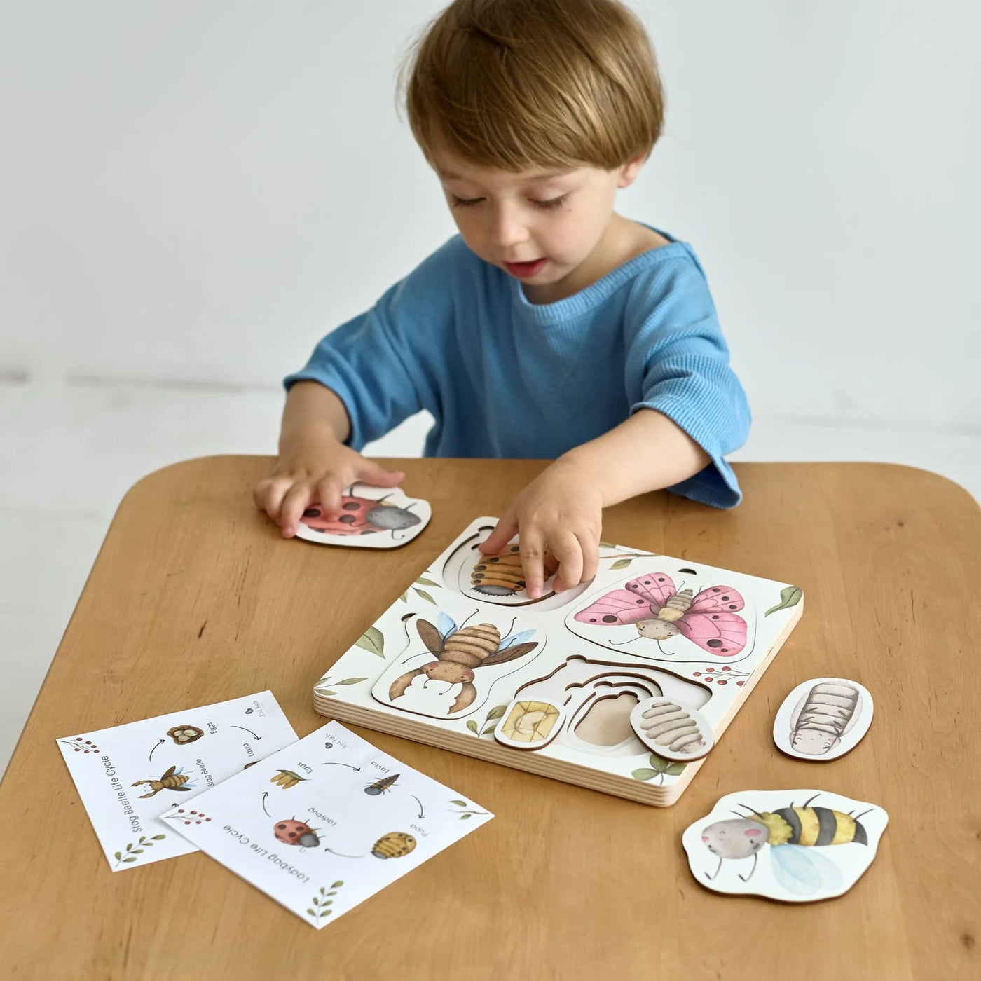 Insects' Life Cycle Wooden Puzzle