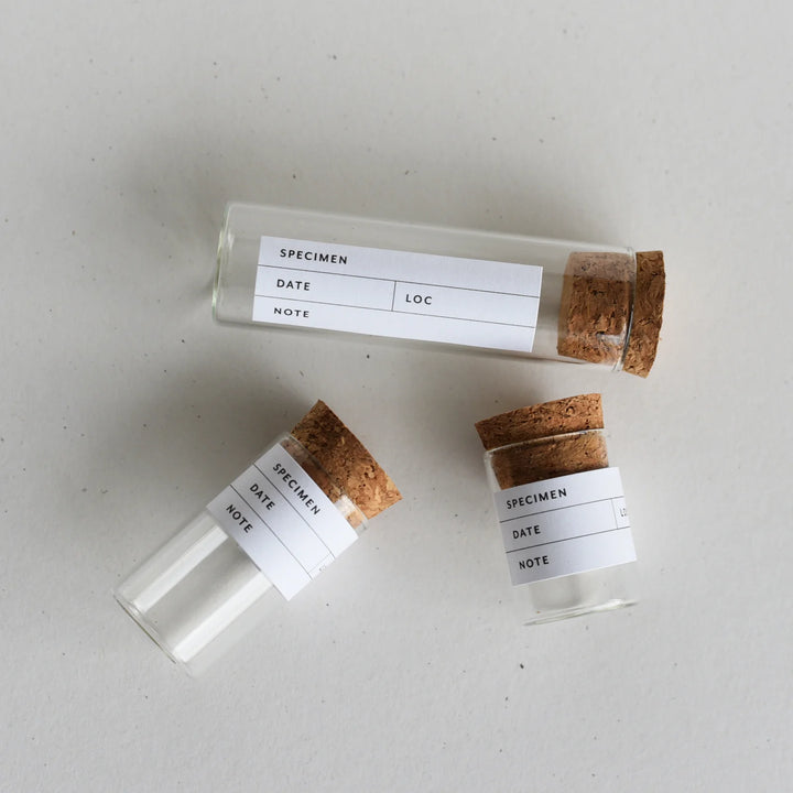 June &amp; December Beach Collecting Kit