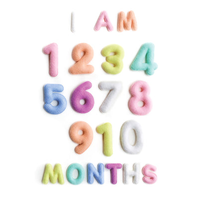 Lucy Darling Milestone Felt Numbers in Pastel