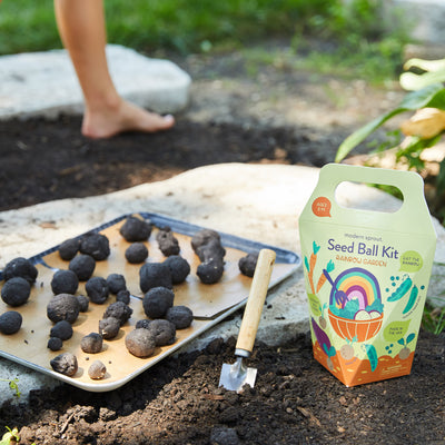 Modern Sprout Seed Ball Kits