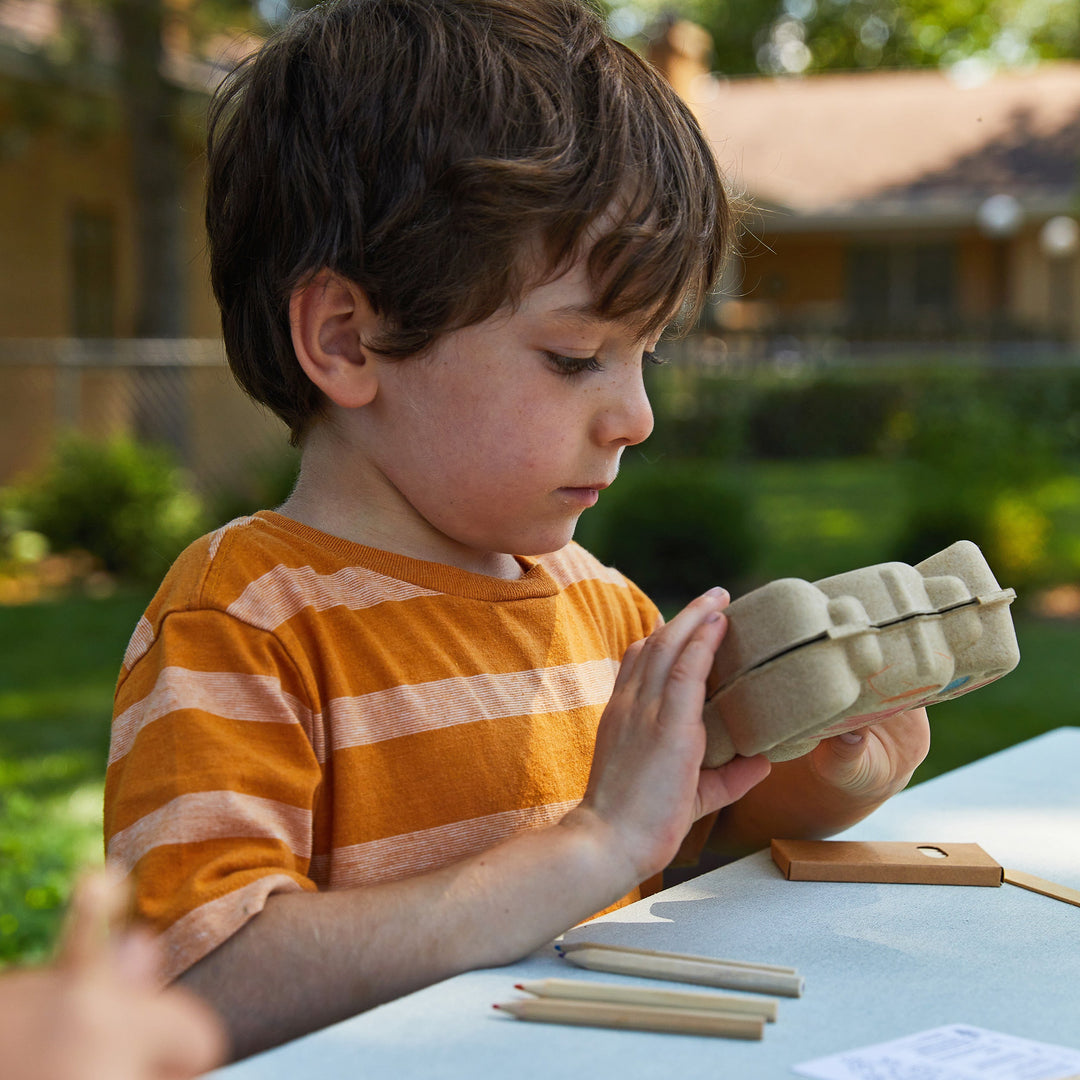 Modern Sprout Curious Critters Garden Kits