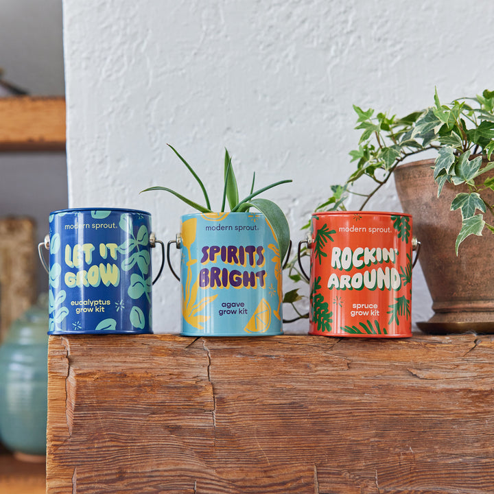 Seasonal Complimentary Colors Grow Kits