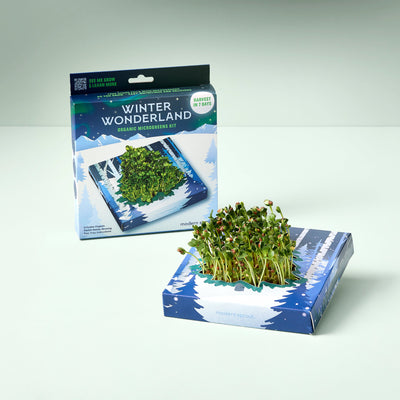 Winter Wonderland Microgreens Kit