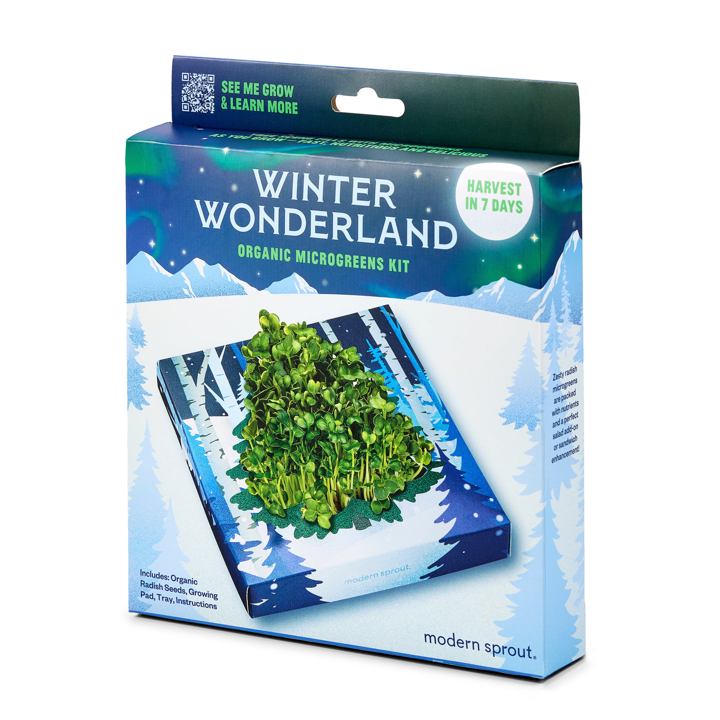 Winter Wonderland Microgreens Kit