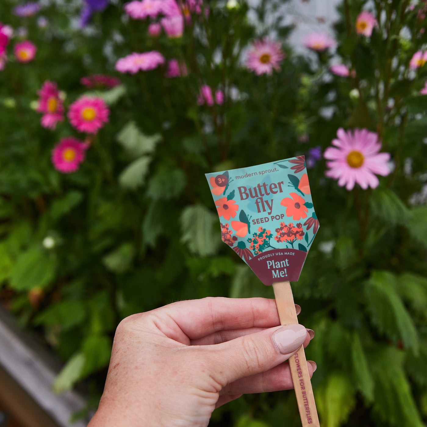 Modern Sprout Seed Pops, Pollinator