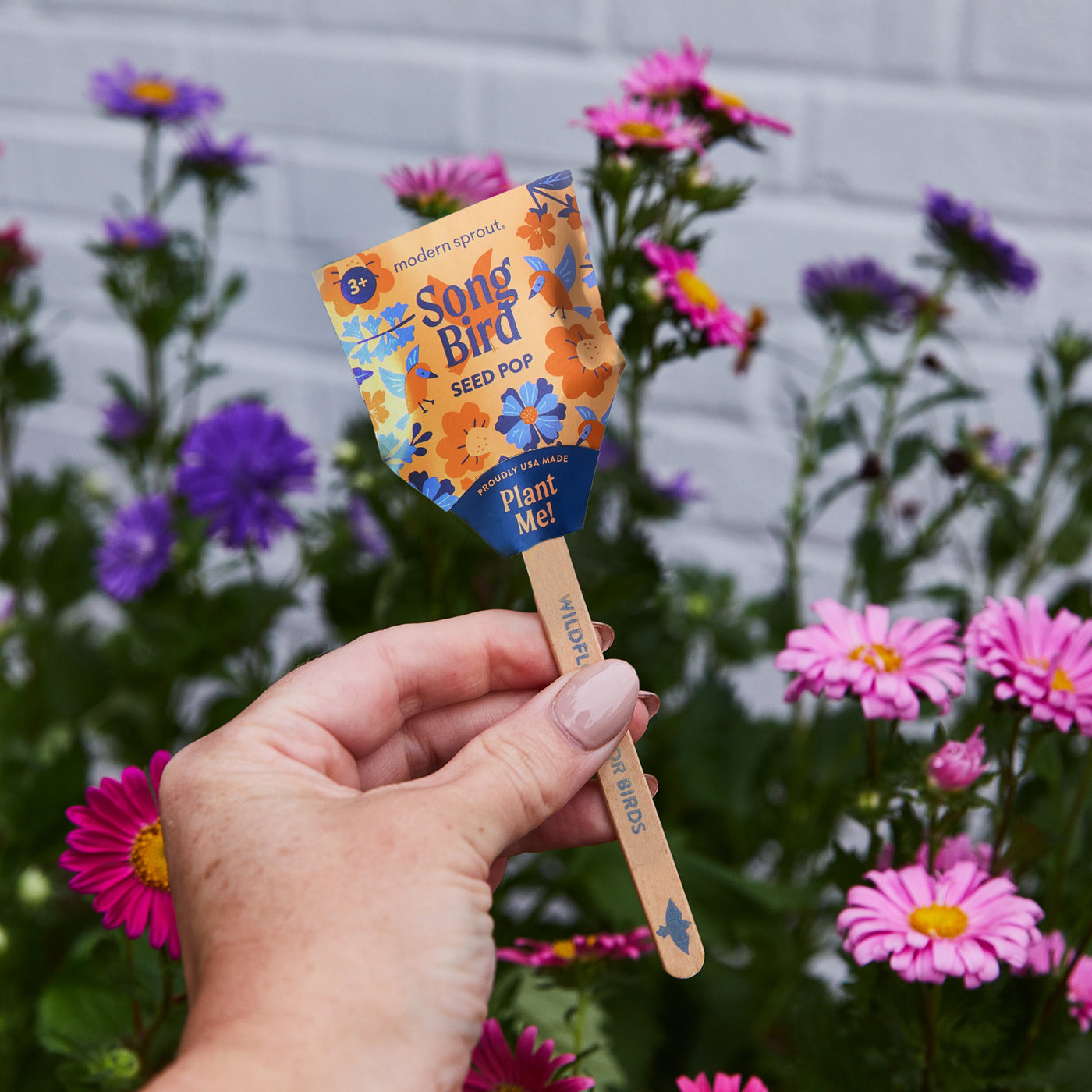 Modern Sprout Seed Pops, Pollinator