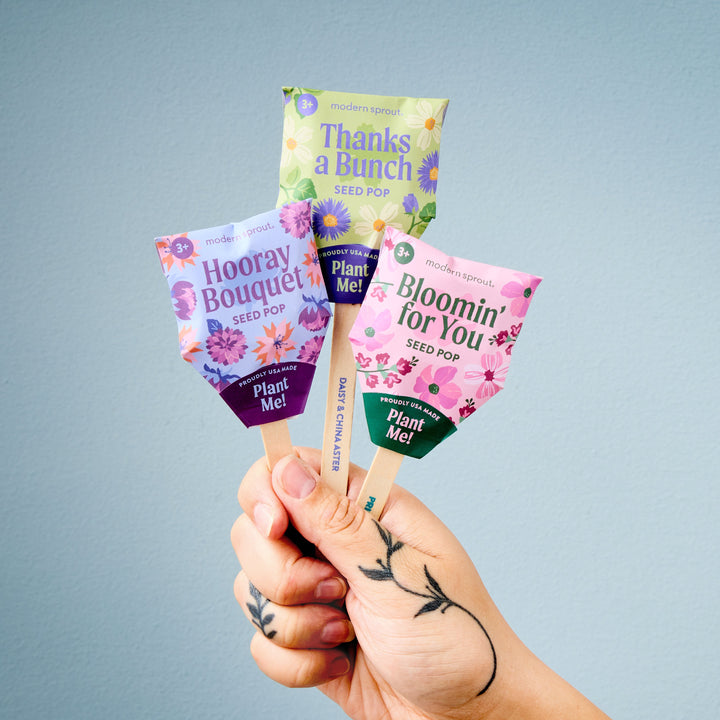 Seed Pops - Flowers