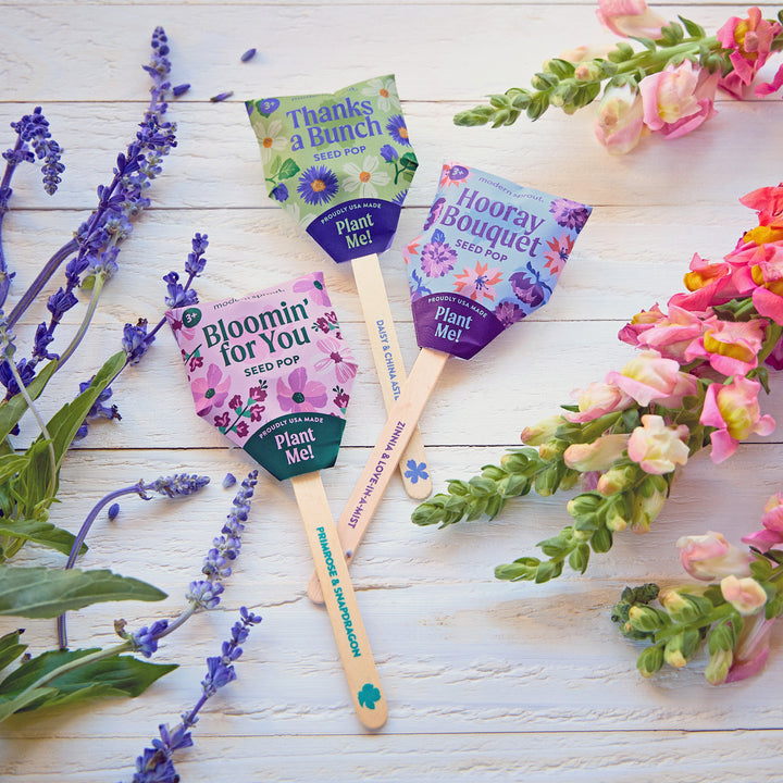 Seed Pops - Flowers