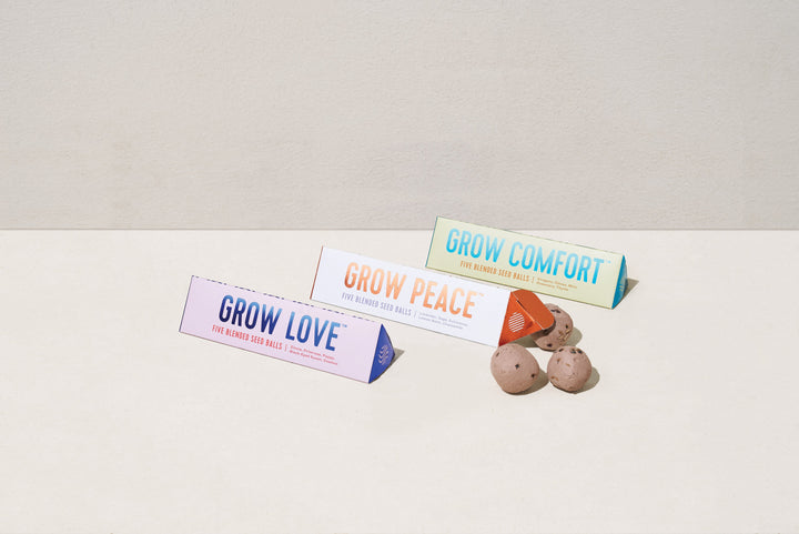 Modern Sprout Bright Side Seed Balls