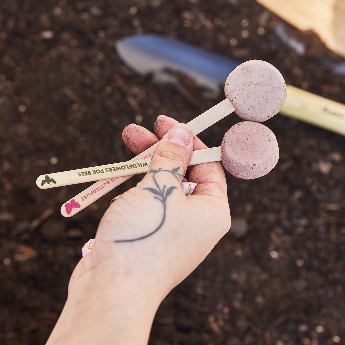 Modern Sprout Seed Pops, Pollinator