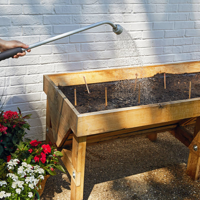 Modern Sprout Seed Pops, Pollinator