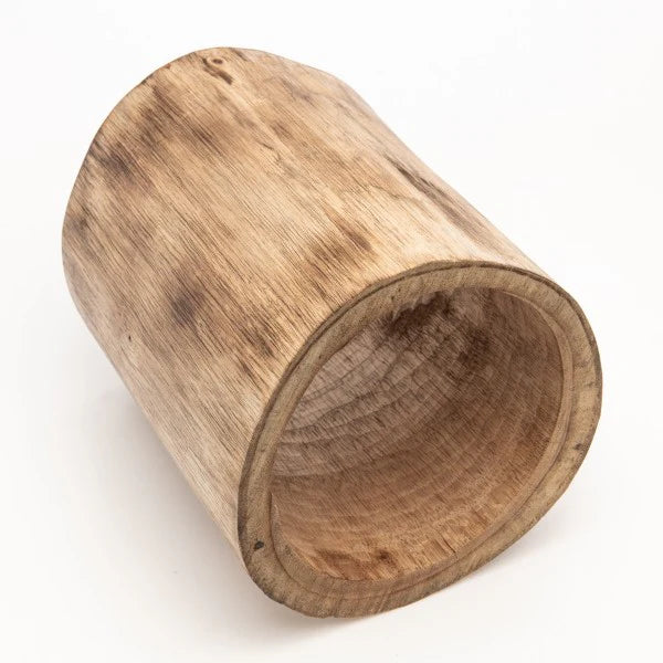 Papoose Hollow Log