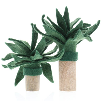Papoose Palm Trees, Set of 2