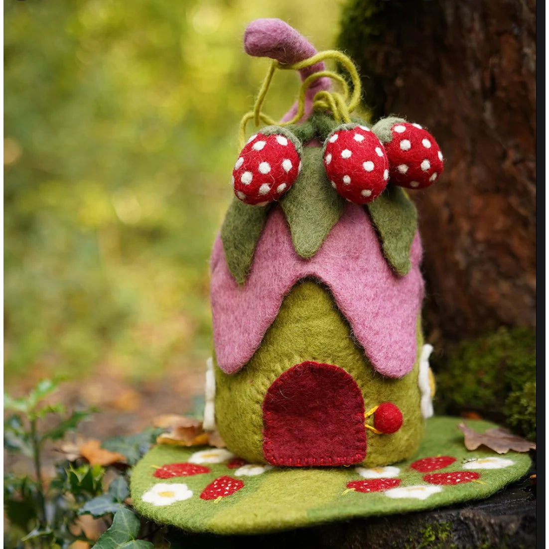 Papoose Strawberry House and Mat