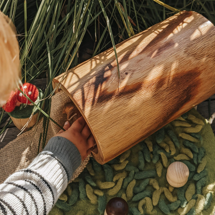 Papoose Hollow Log